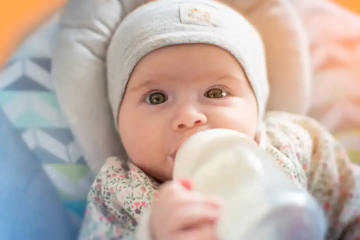 How to Choose the Right Bottle Warmer