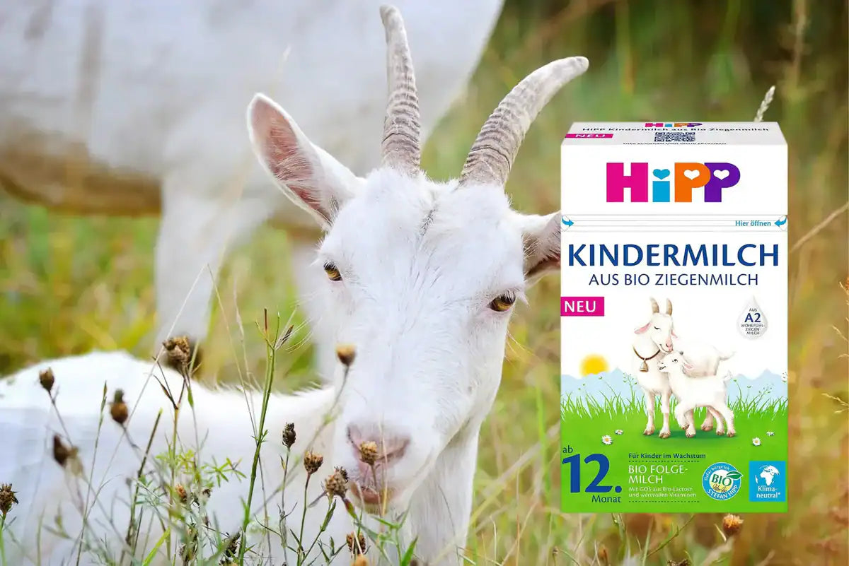 Goat Milk Formula vs HiPP Combiotic Kindermilch: What Parents Should Know