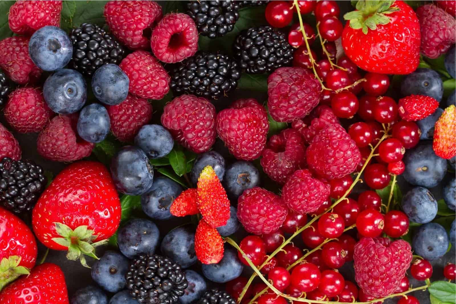 Mid-Summer Baby Food Recipes with Seasonal Produce