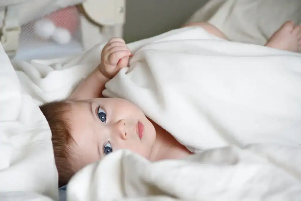 Best European Organic Baby Formula in 2026: Buyer's Guide