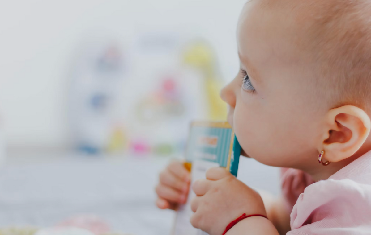 HiPP Hypoallergenic Formula Reviews: What Parents Say