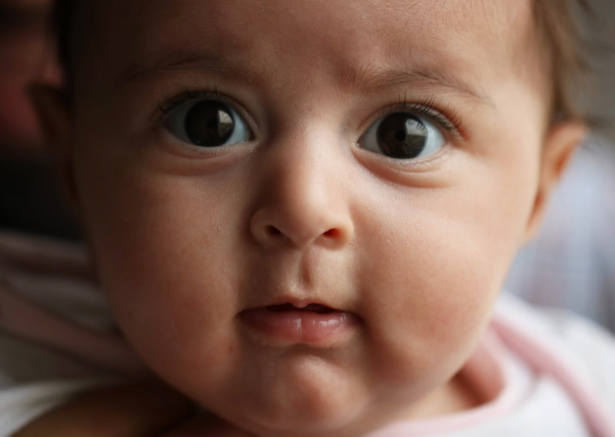 Best Holle Baby Formula Retailer in the USA
