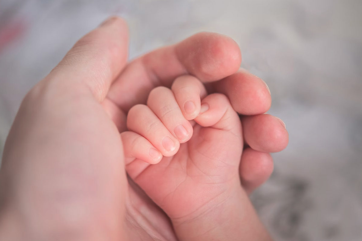 Where Can I Buy Organic Baby Formula in the US?
