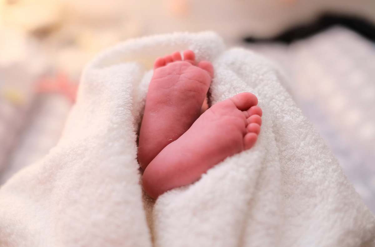 Best HiPP Hypoallergenic Formula Online Store in US