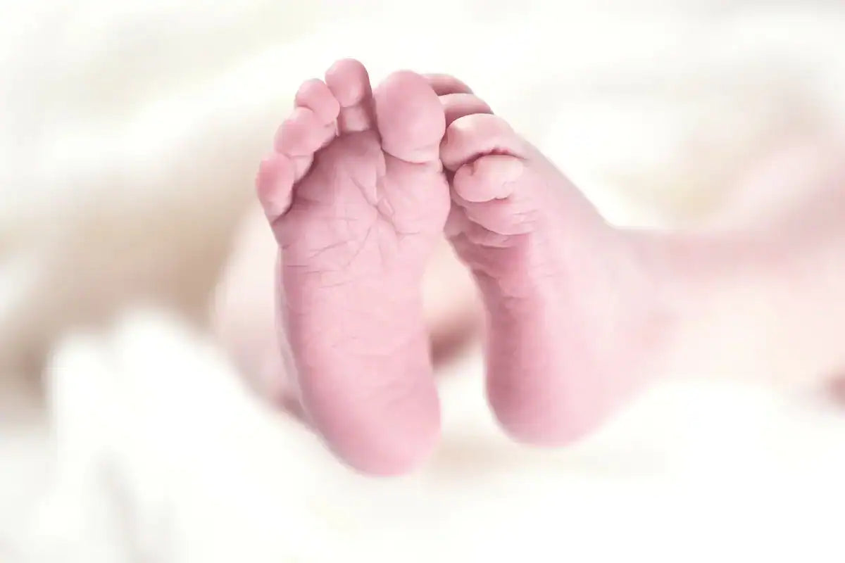 Why We Chose Lebenswert Organic Baby Formula