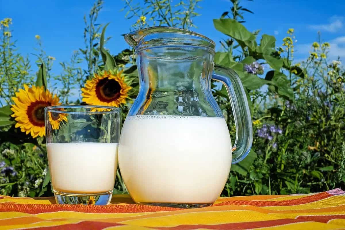 Is Lactose in Baby Formula Bad? Why Babies Need Lactose