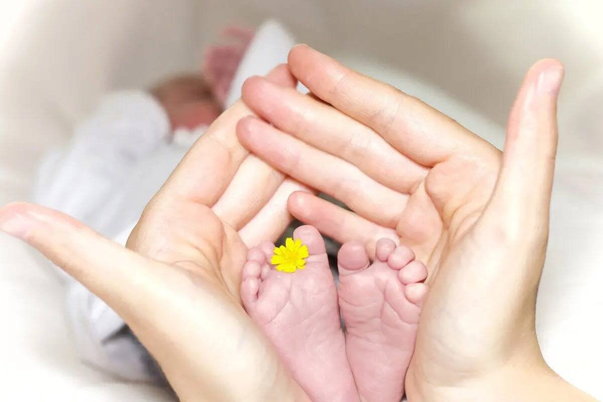 What Is Holle Baby Formula? Everything Parents Should Know