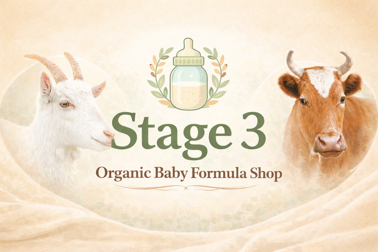 Stage 3